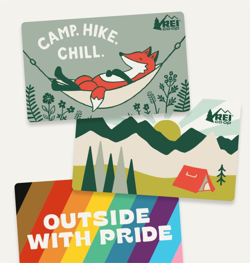 Three R E I Co-op gift cards with outdoors- and Pride-themed illustrations.