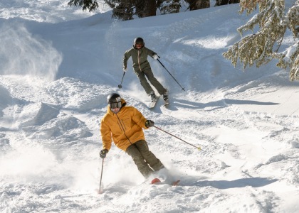 Two people skiing down a powdery slope.