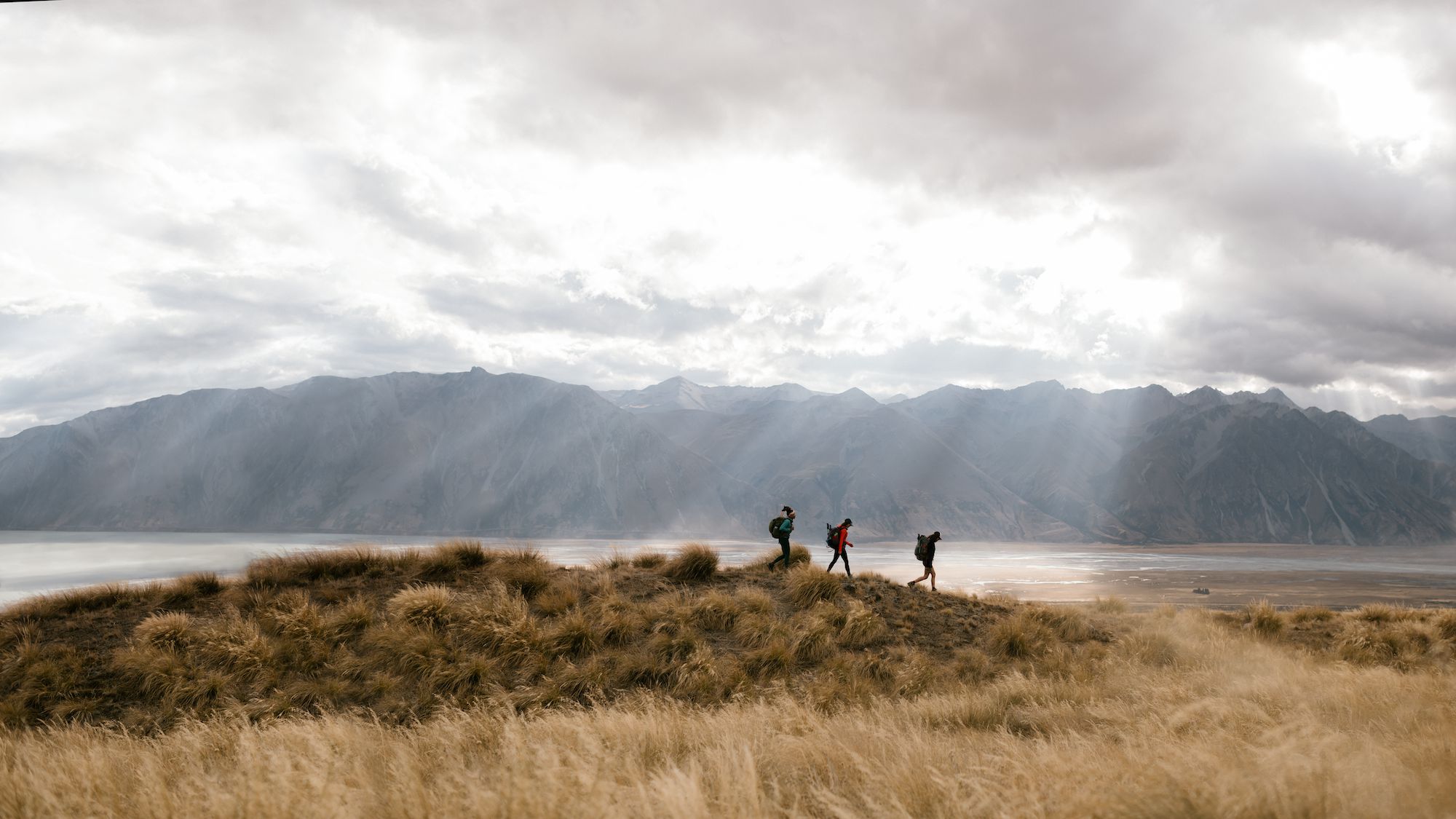 REI Coop Reports Strong Growth in 2021, Setting Coop Record in
