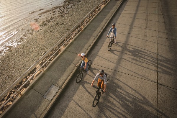 Three cyclists ride on a road overlooking a sunny beach.