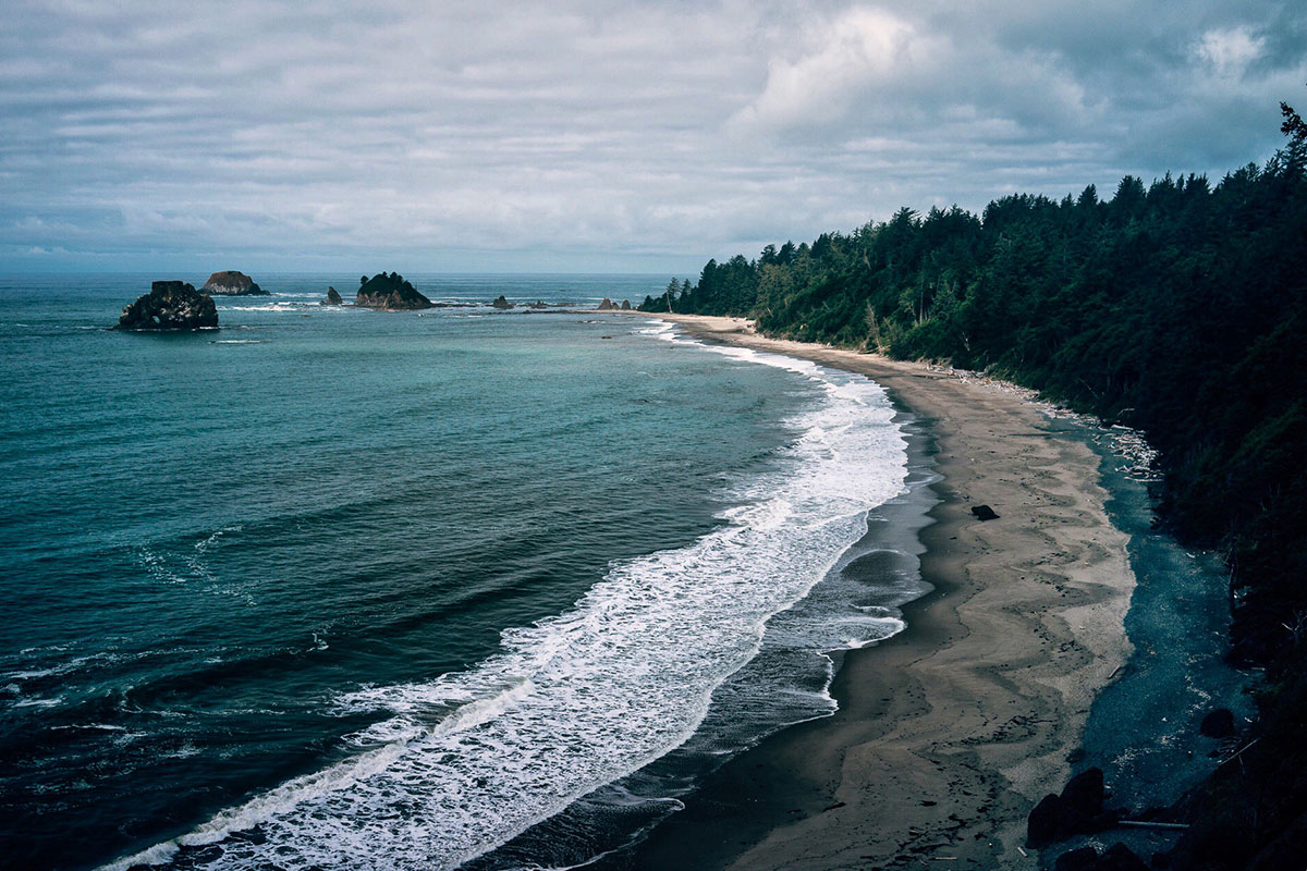 A beach along the Wildnerness Coast.