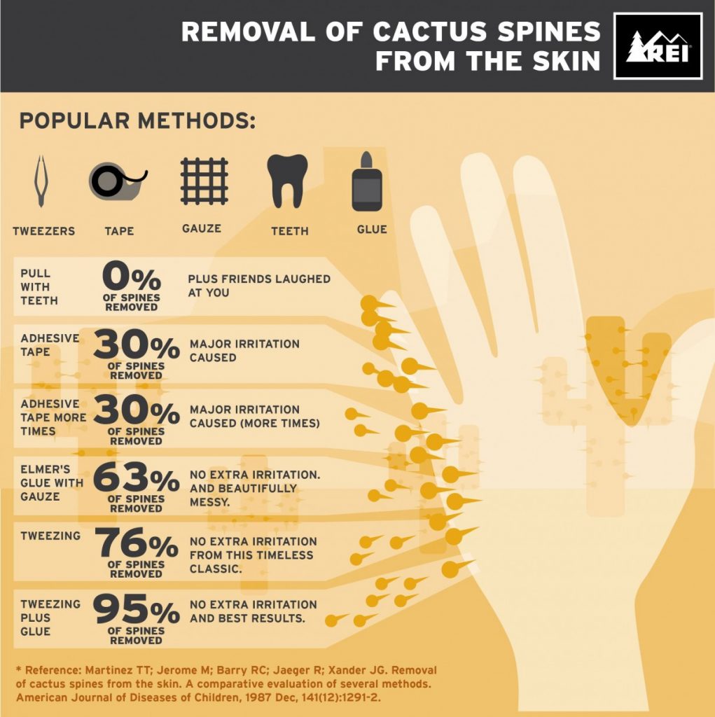 Removal of Cactus Spines from the Skin REI Coop Journal
