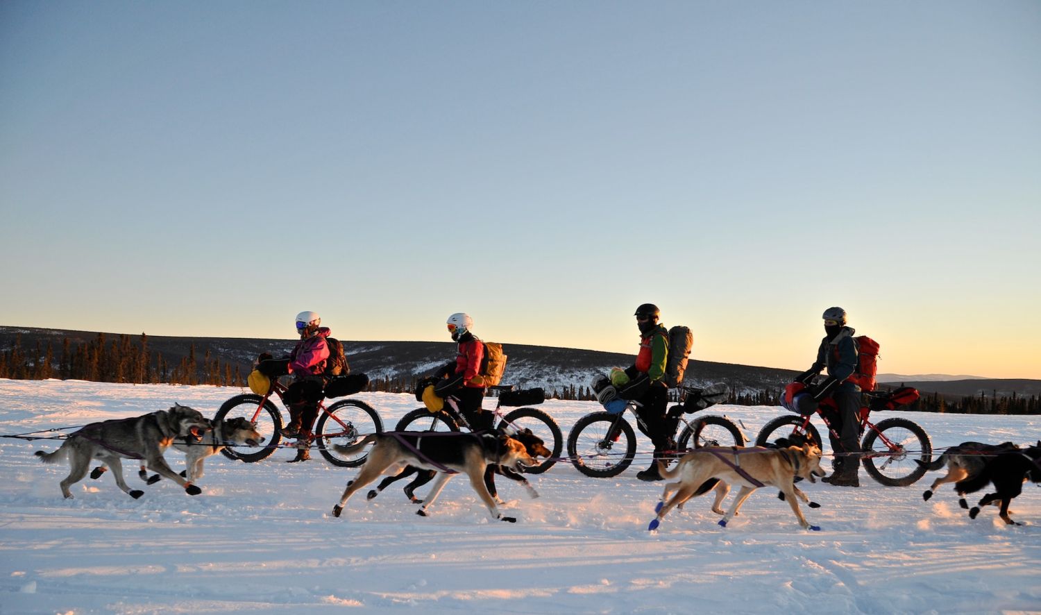 Sub Arctic Snow Biking In Alaska S White Mountains Rei Co Op Journal