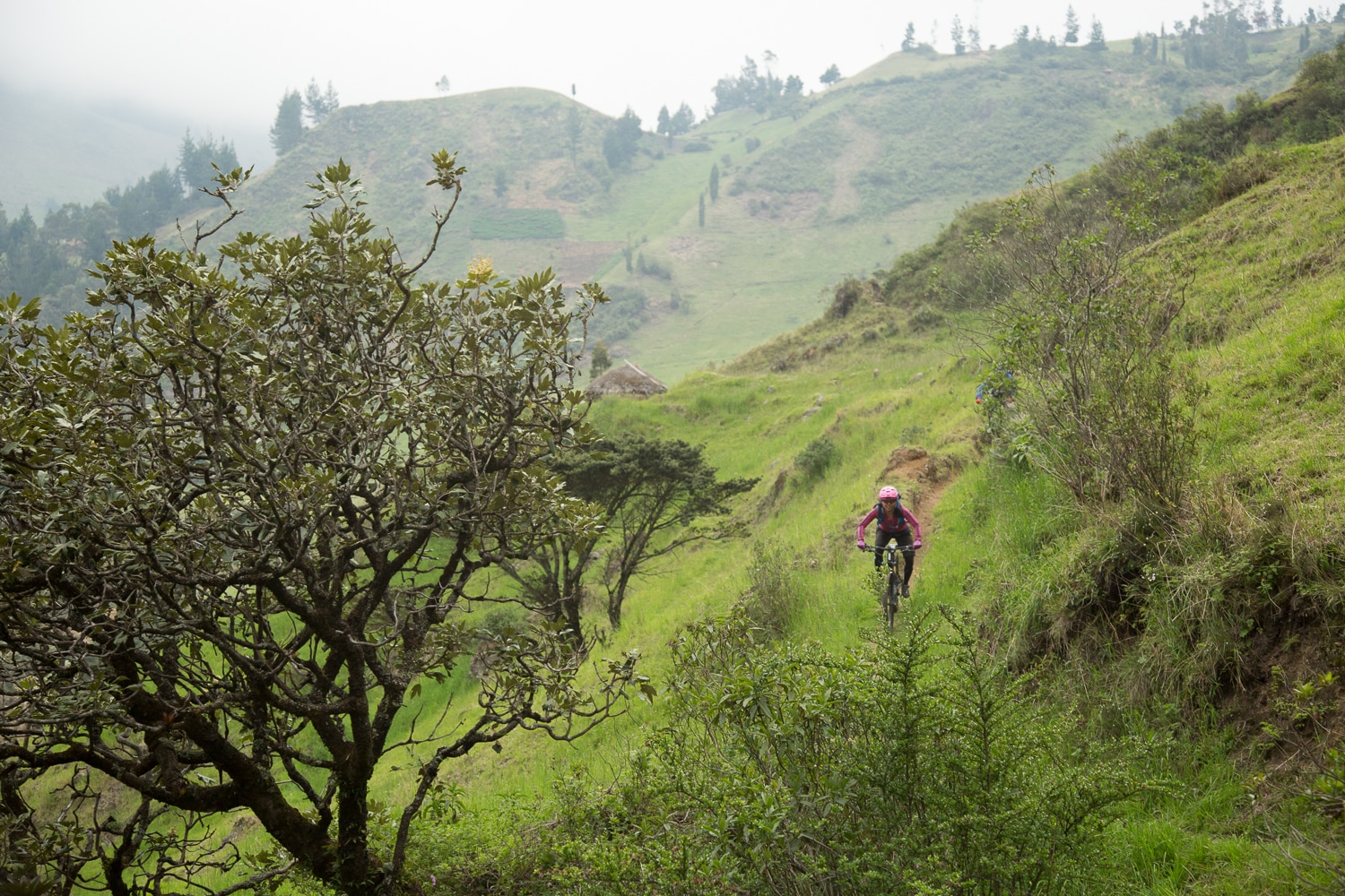 Ecuador: South America’s Mountain Biking Mecca | REI Co-op Journal