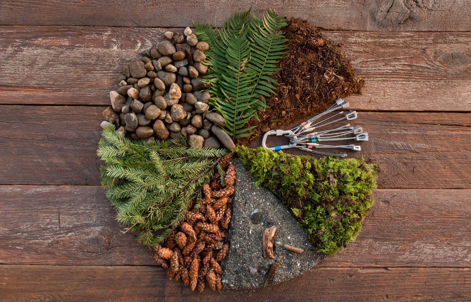 Elements of an REI Membership REI Coop Journal