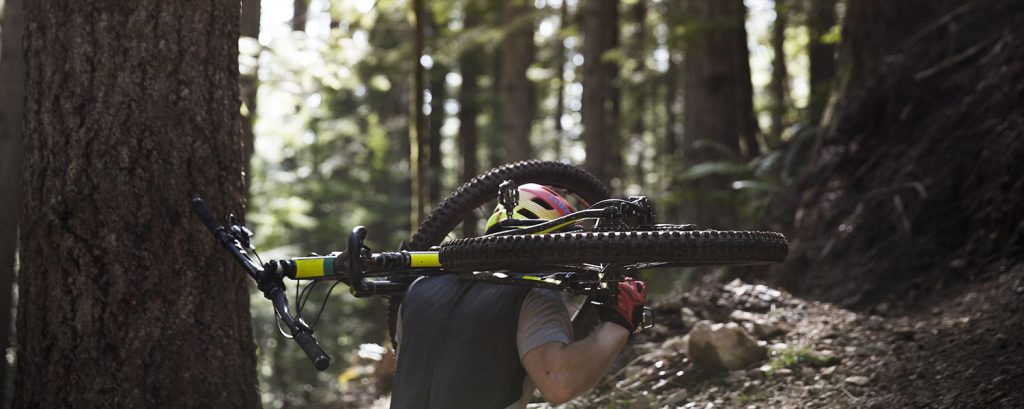 how to pick out a mountain bike