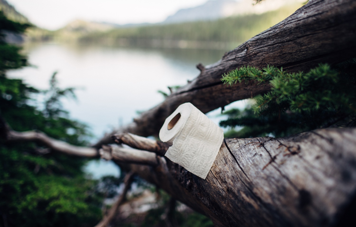 SemiRad A Backcountry Guide to Toilet Paper REI Coop Journal