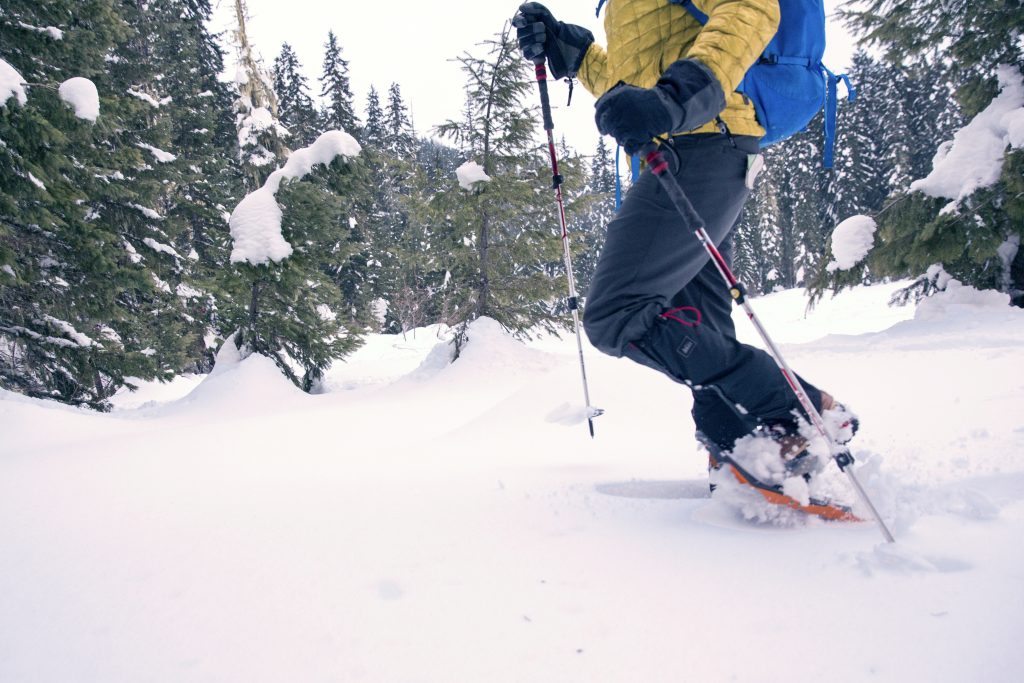 Ask an Expert Do I Have to Stay on the Trail When Snowshoeing? REI