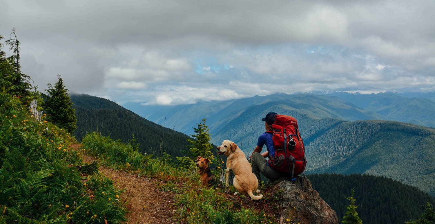 How to Plan a DogFriendly Backpacking Trip REI Coop Journal