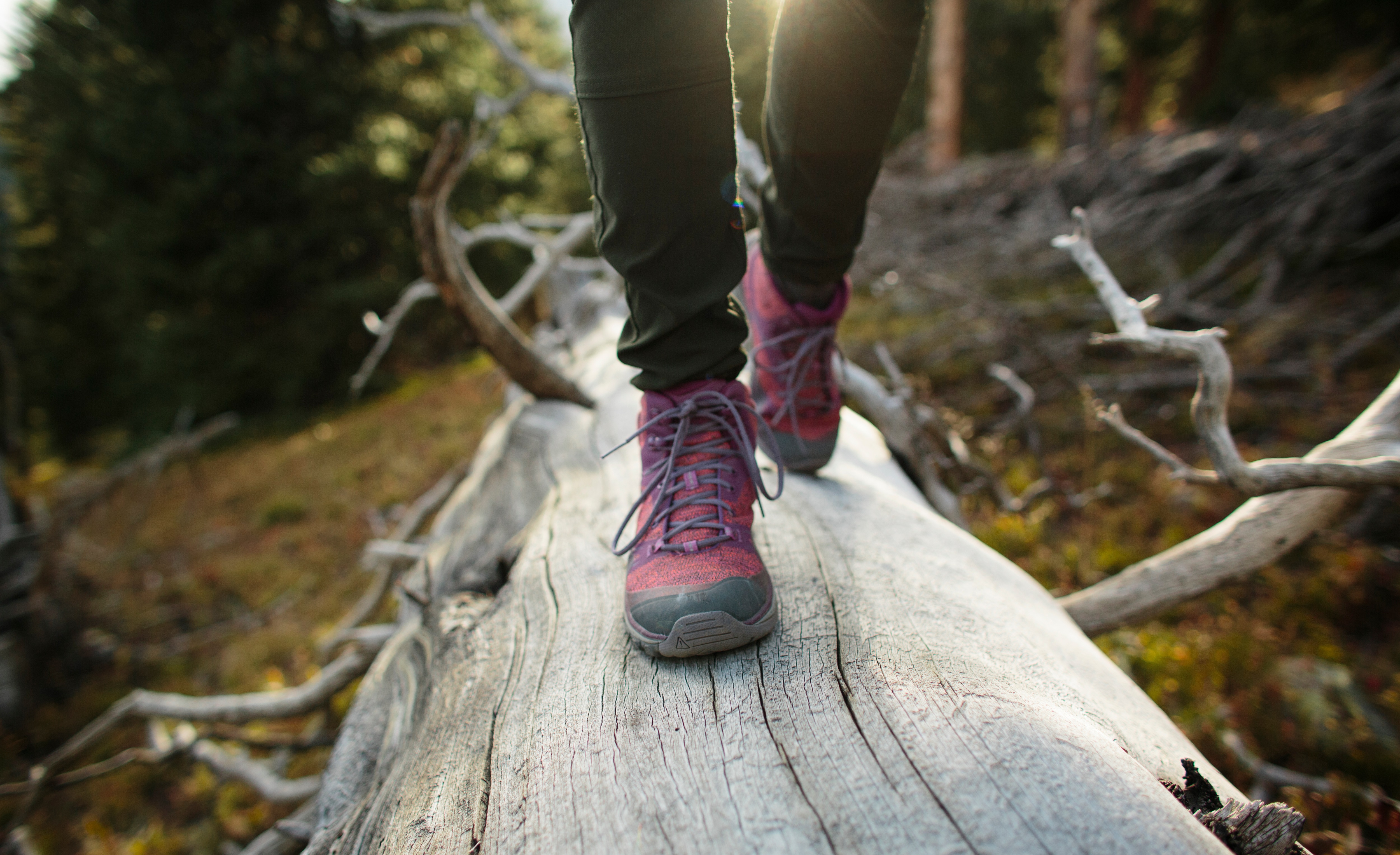 hiking boots vs shoes
