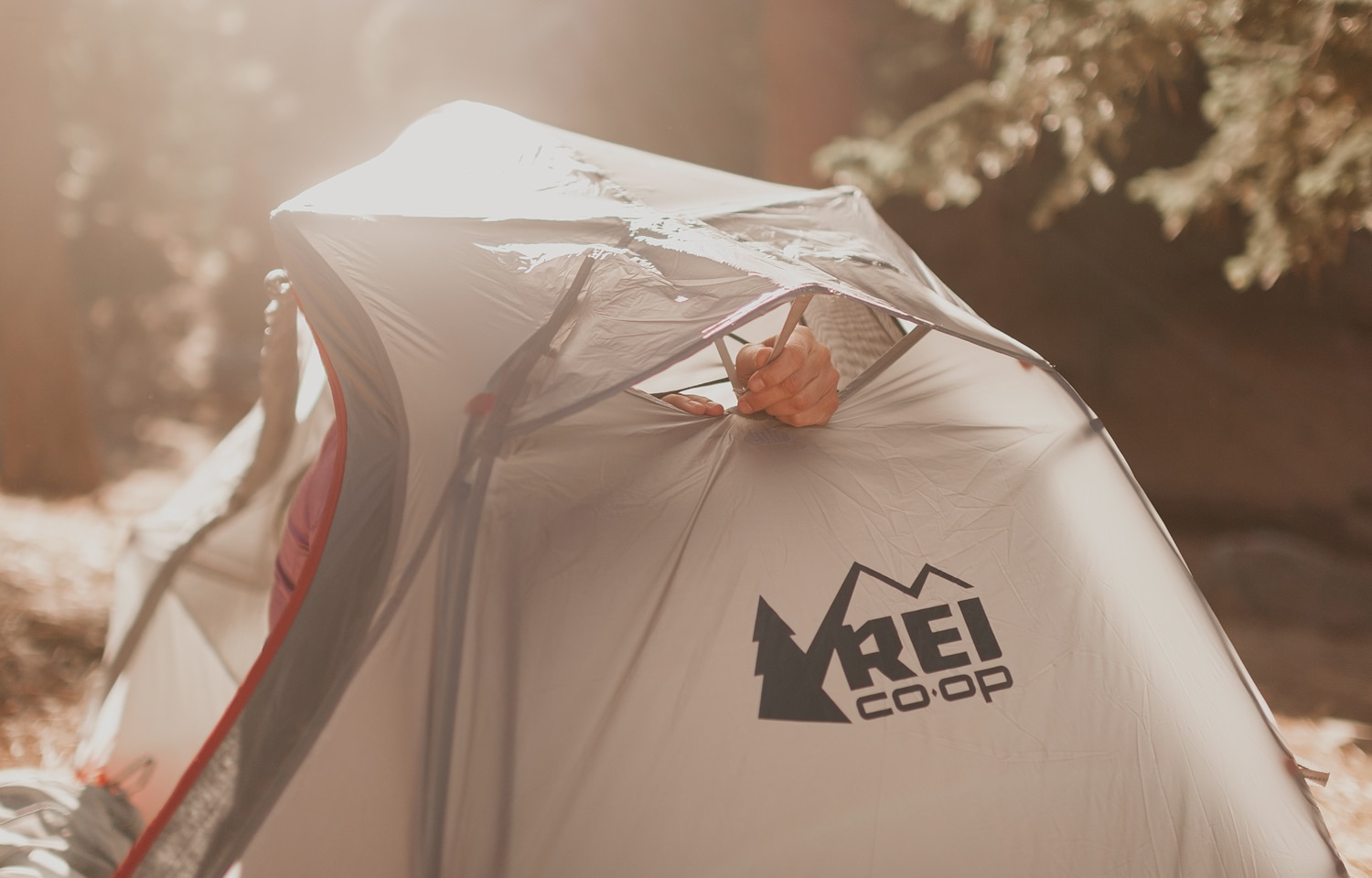 Tent at a campsite
