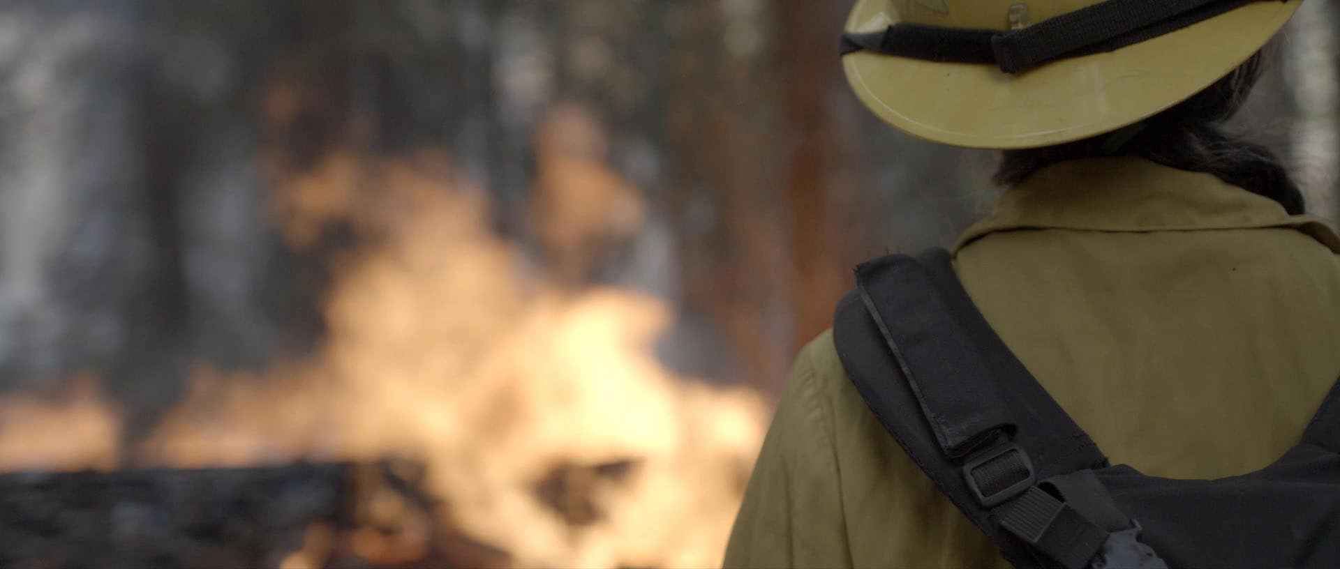wildland firefighter
