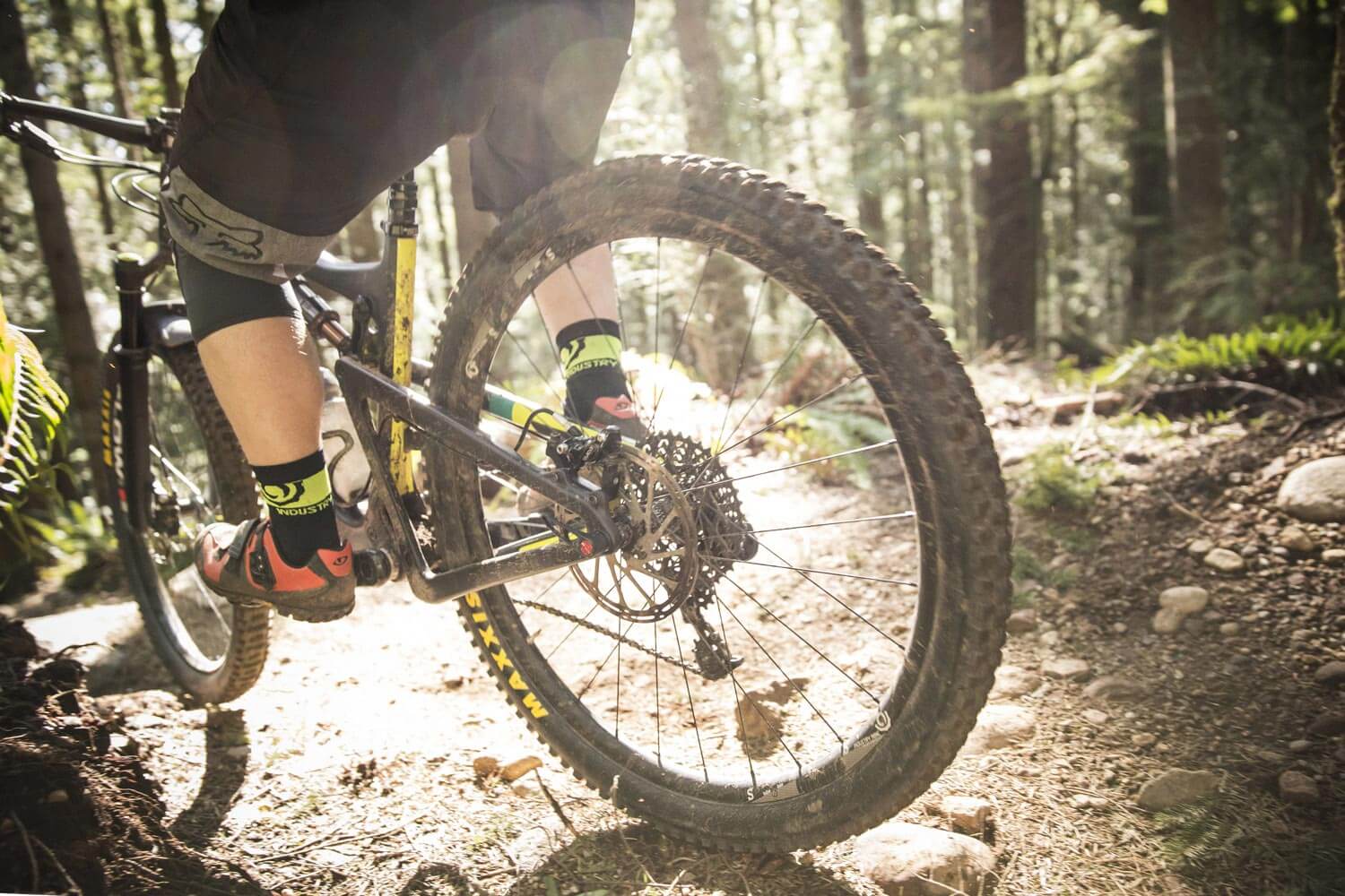 rei full suspension