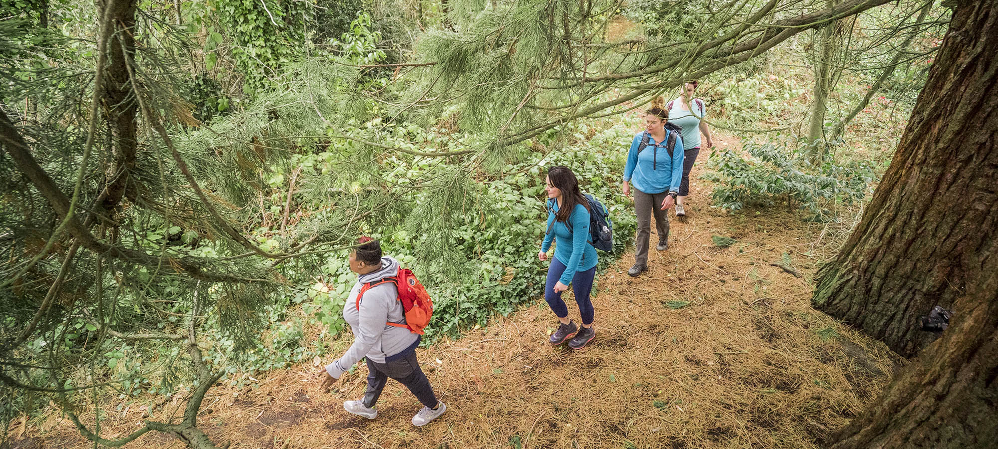 What Does MoistureWicking Mean? REI Coop Journal