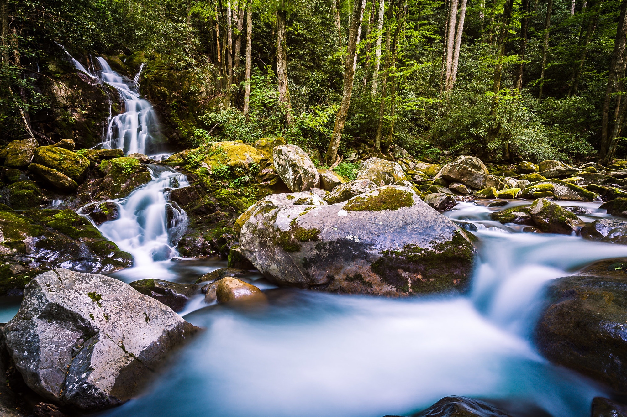 10 of the Best Hikes Near Asheville REI Coop Journal
