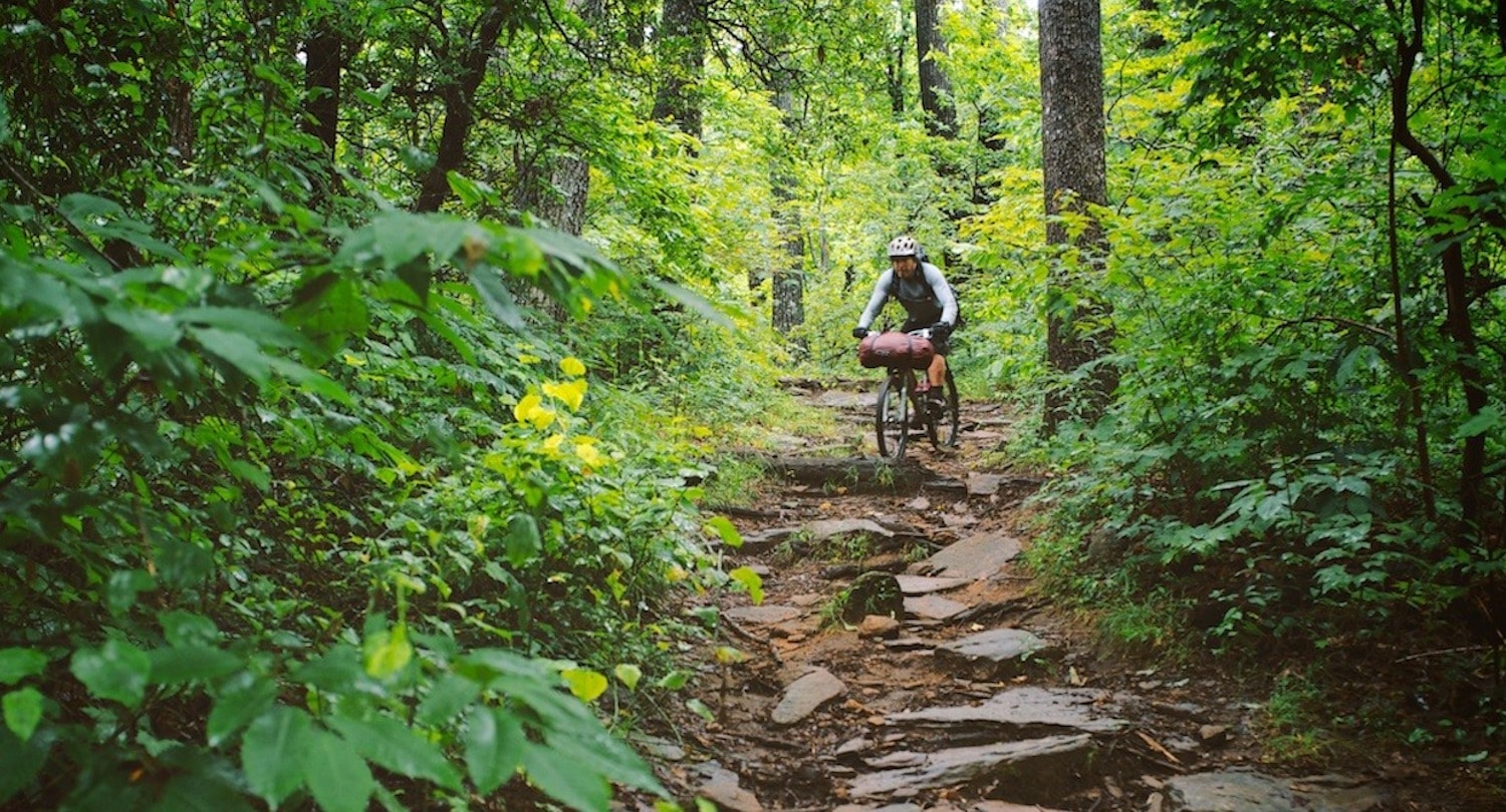 10 Best Mountain Bike Trails Rides Near Asheville - REI 