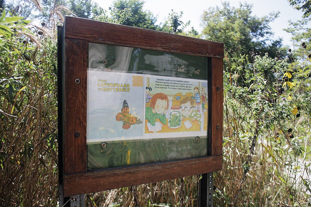 West Ridge Nature Preserve