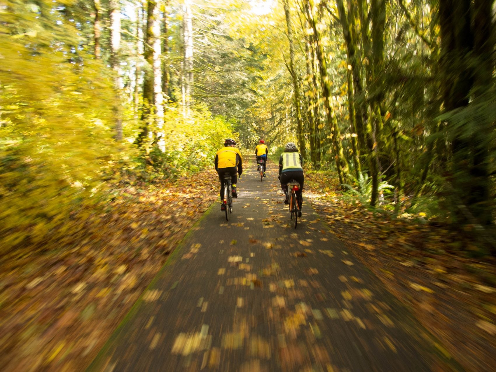 Cyclists take in the color on the Banks Vernonia trail.