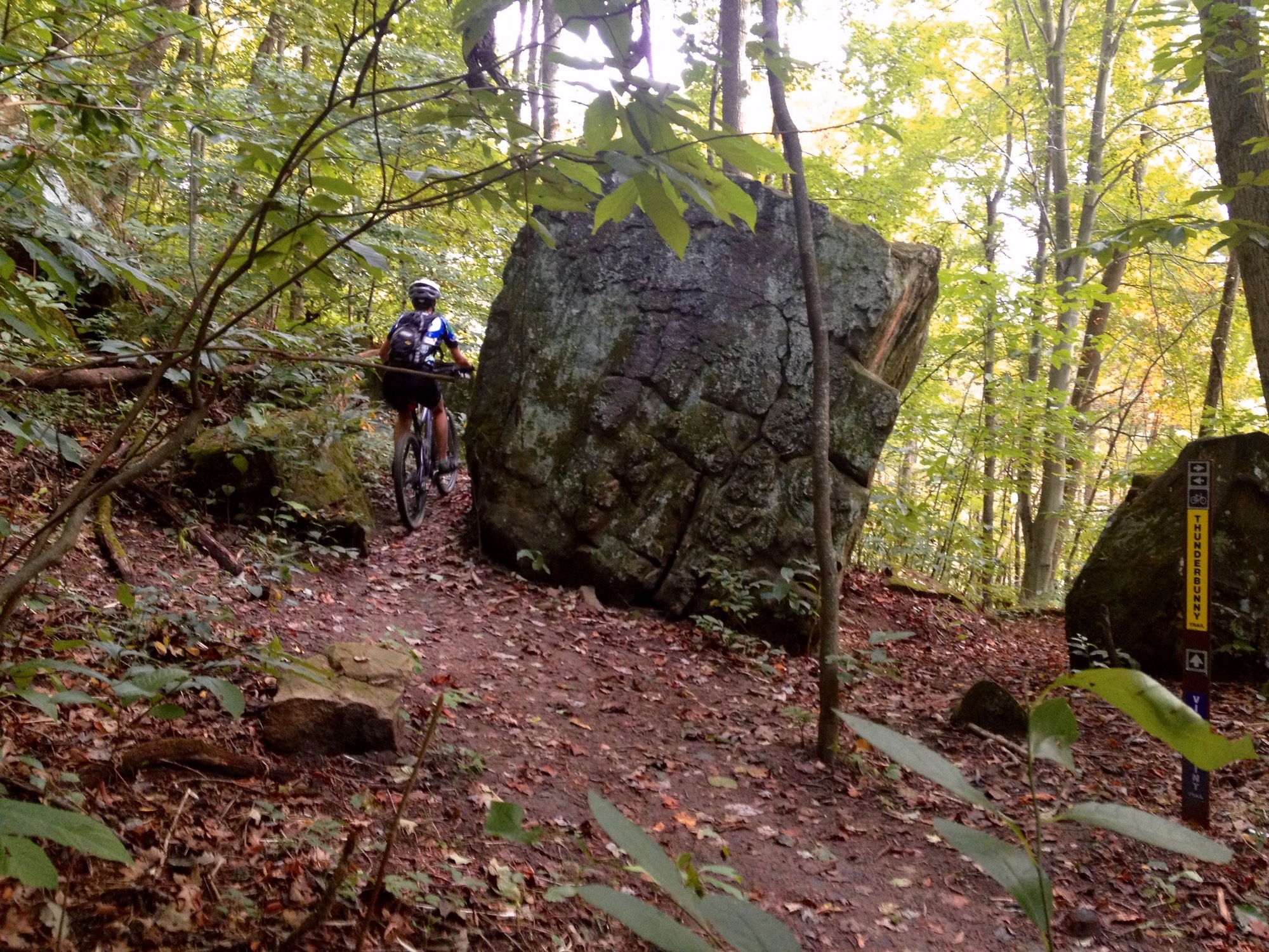 The Best Mountain Bike Rides In Ohio Rei Co Op Journal