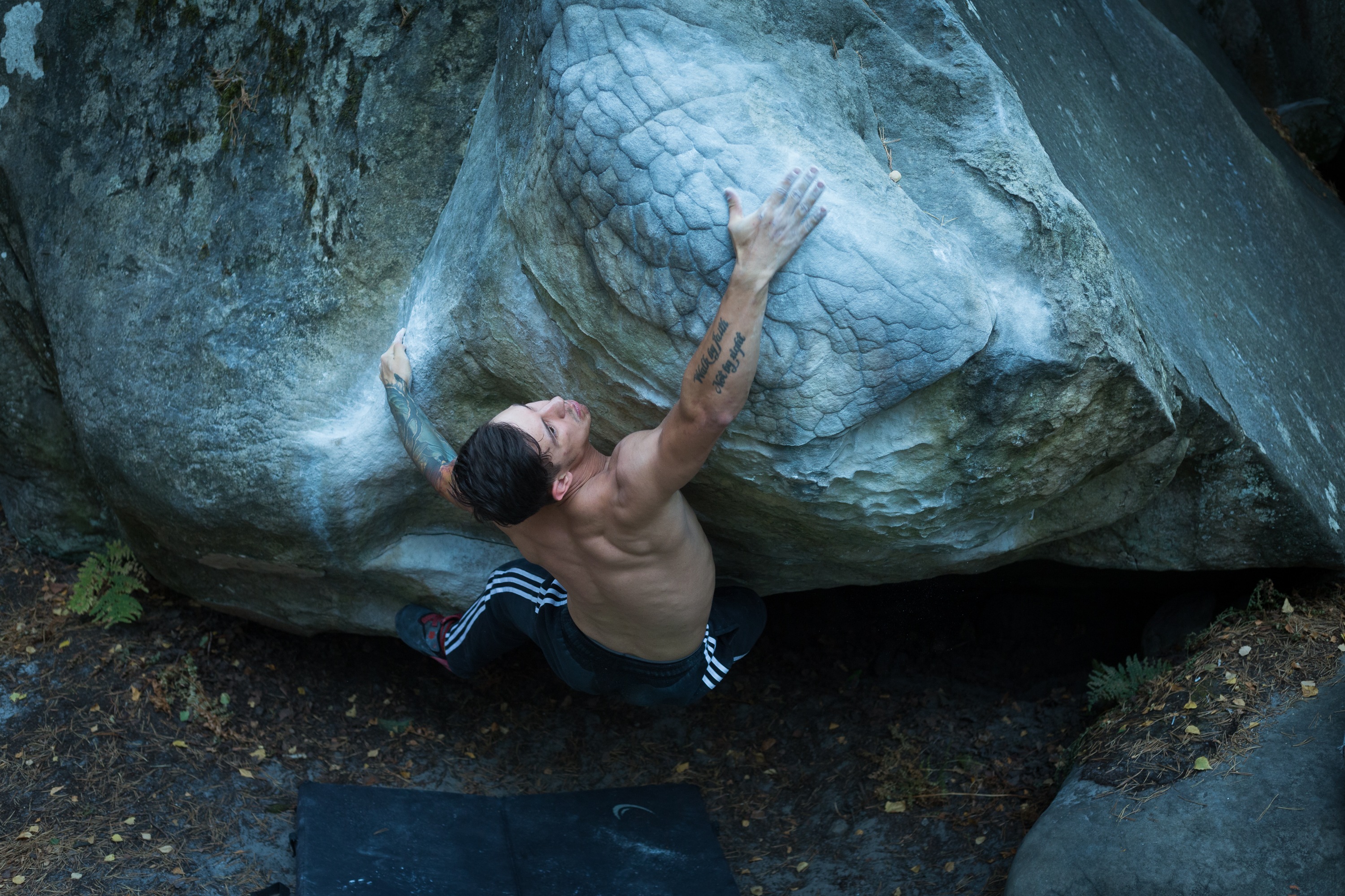 Chi può fare arrampicata?