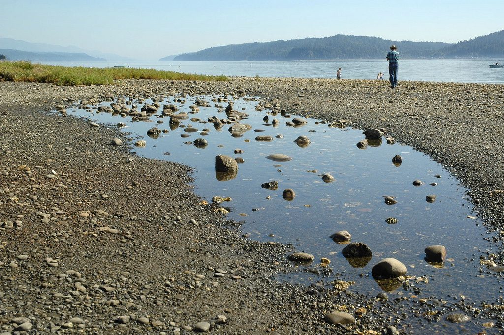 Potlatch State Park.