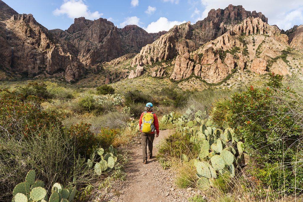 How To Explore Big Bend National Park Rei Co Op Journal