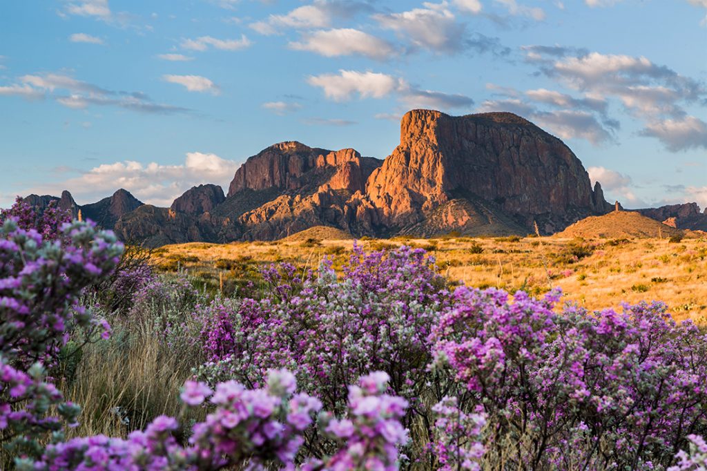 How To Explore Big Bend National Park Rei Co Op Journal