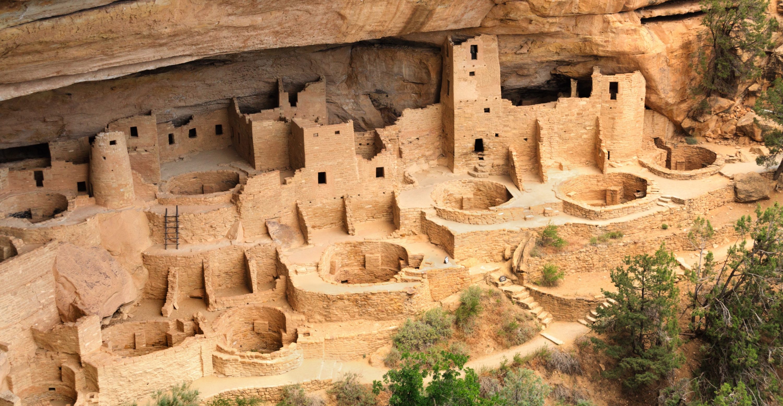 The Cliff Palace at Mesa Verde National Park.