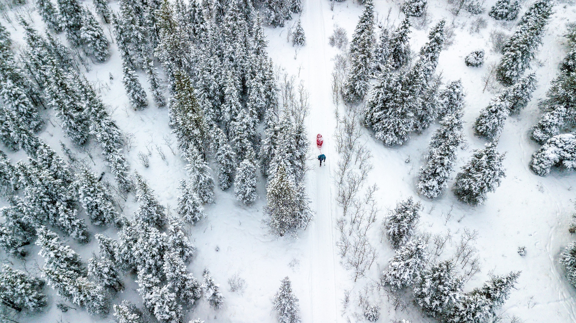 This Race Tests the Limits of Human Endurance REI Coop Journal