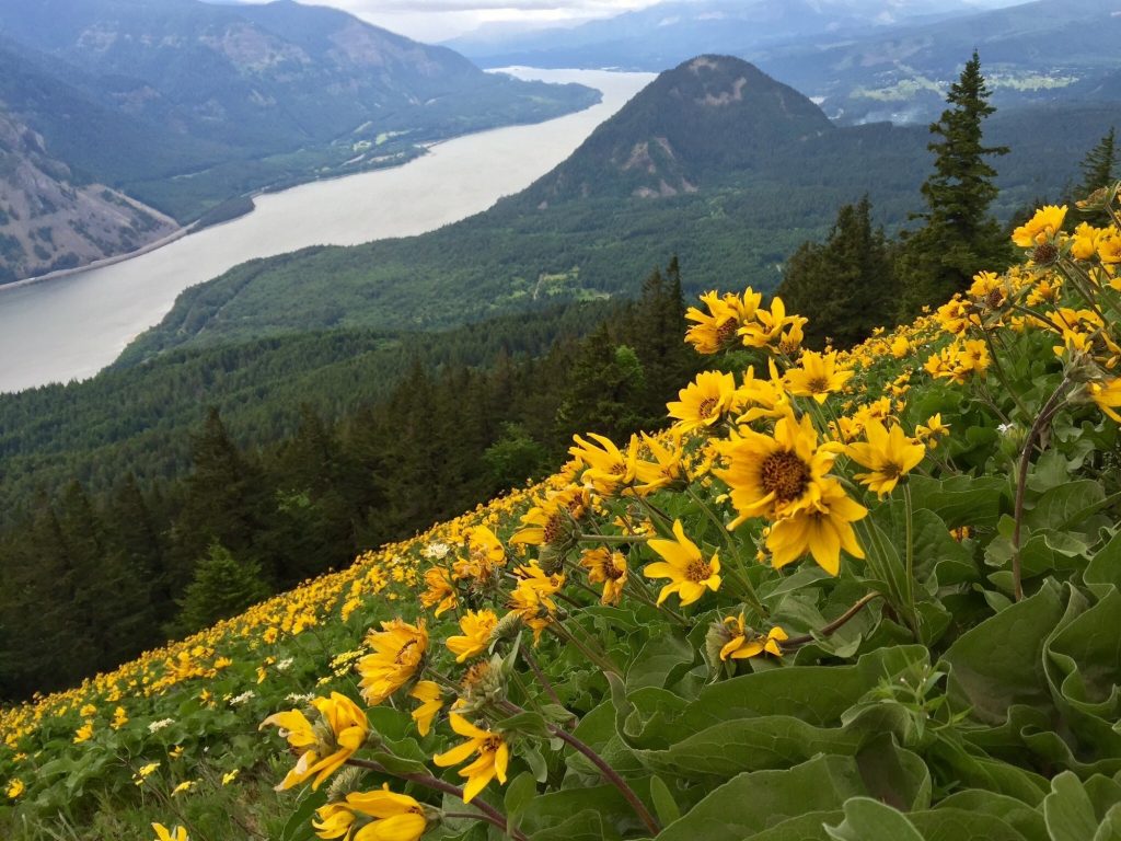 10 of the Best Hikes Washington State has to Offer REI Coop Journal