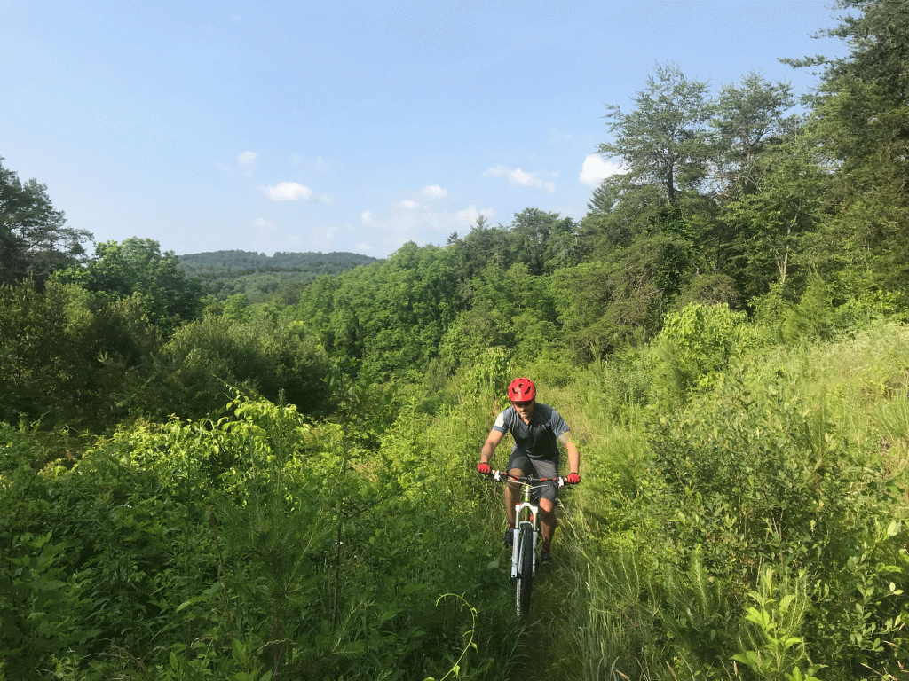 Off-the-Radar Trails to Ride Near Asheville NC REI Co 