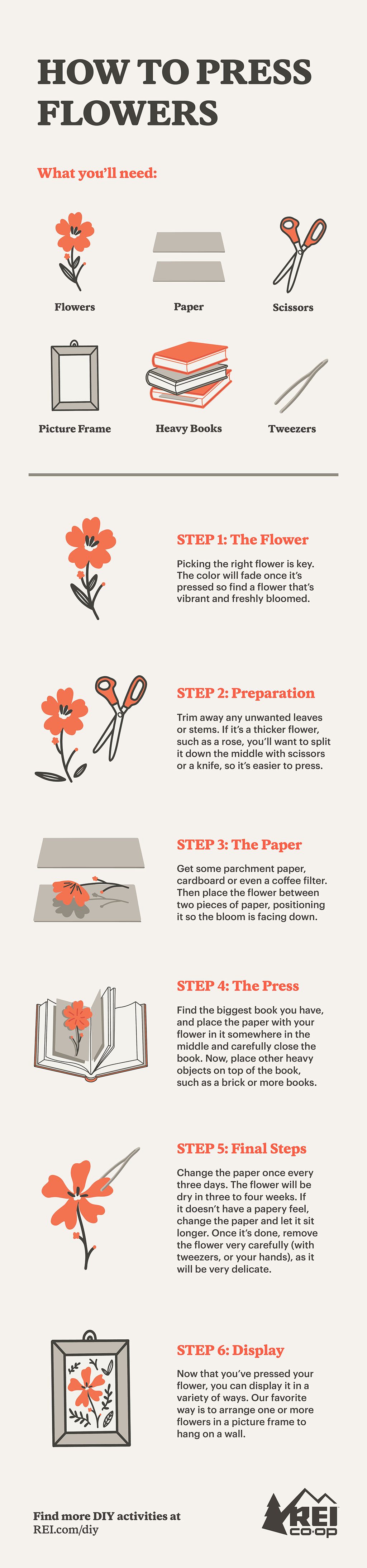How to Press a Flower