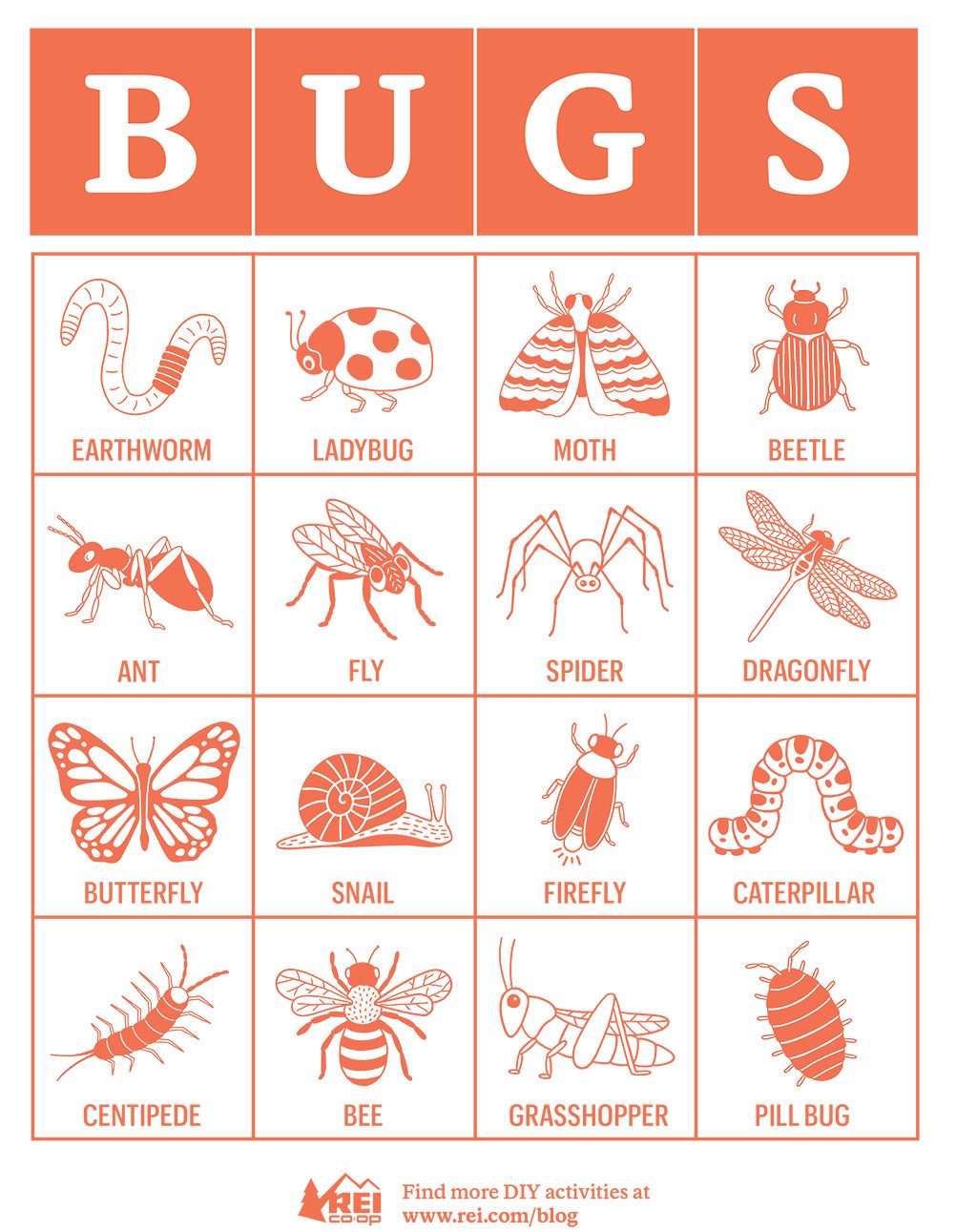 Bug Bingo Card