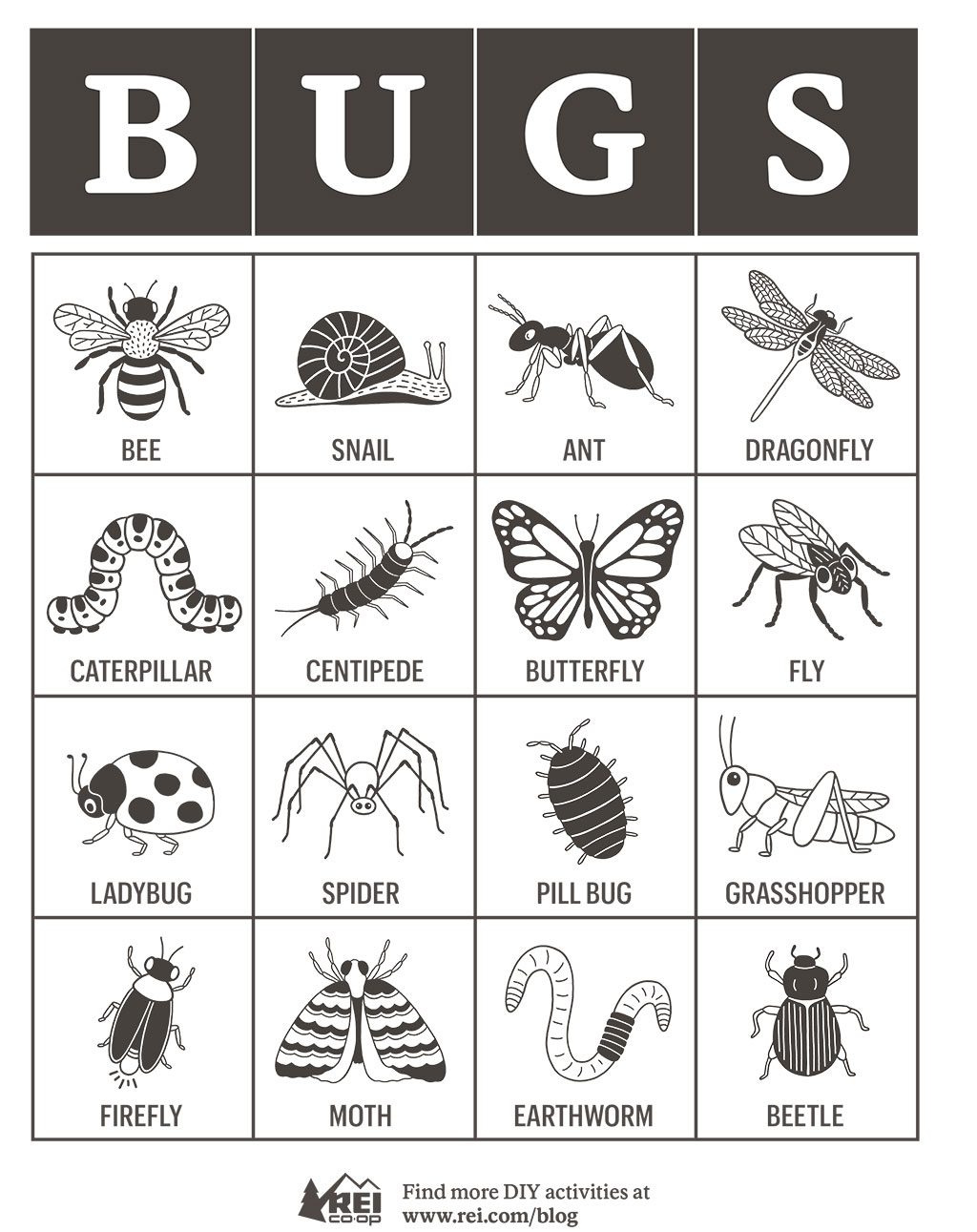 Bug Bingo Card
