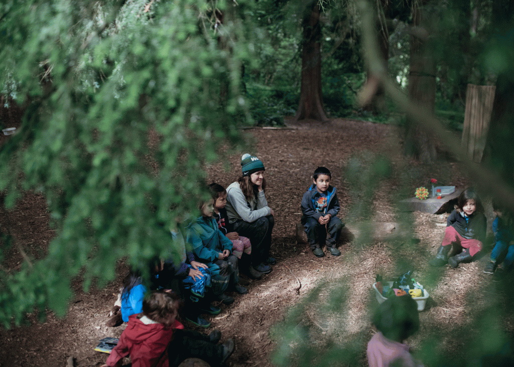 Children gather in a forest clearing with their teacher