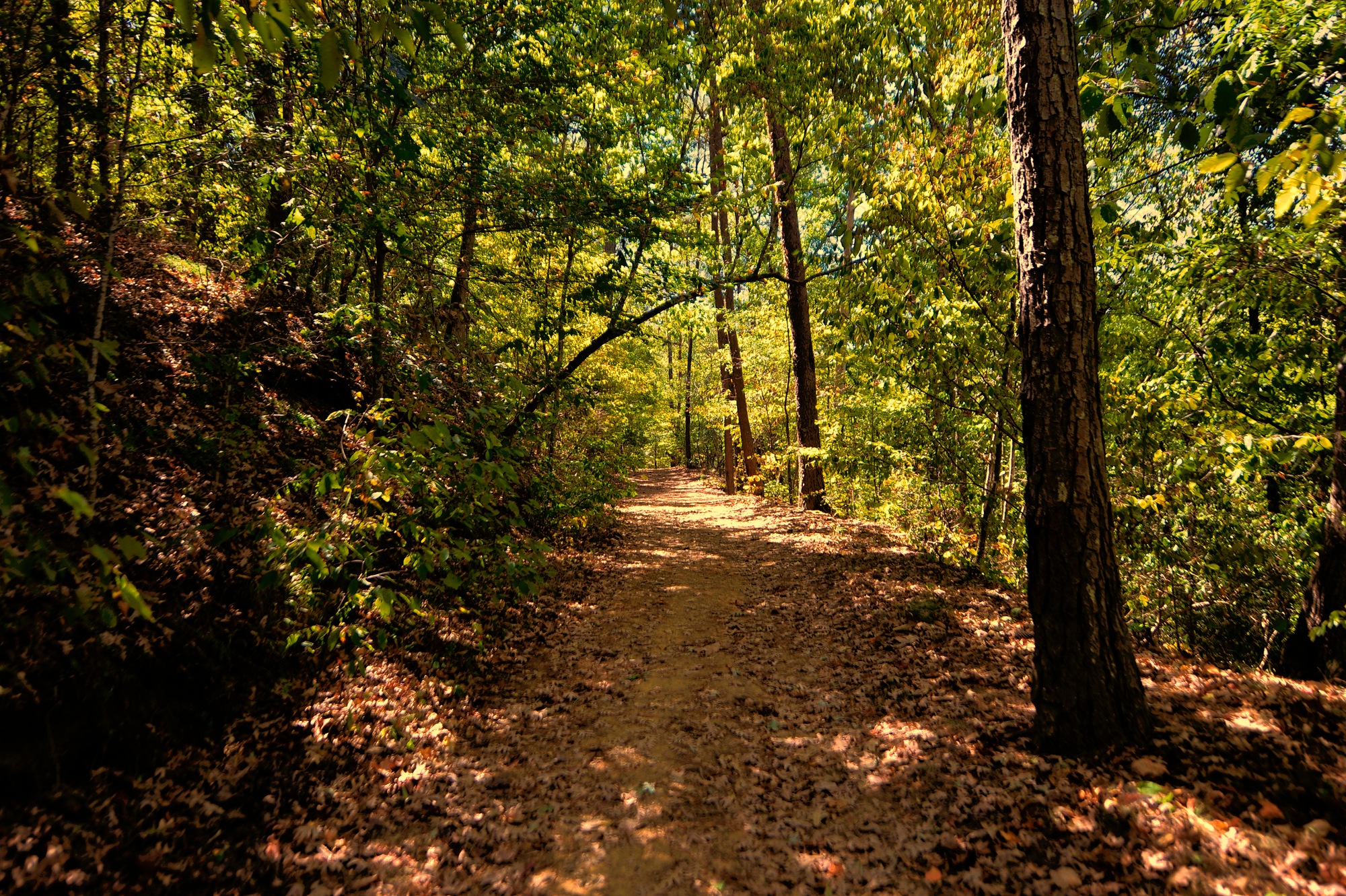 Hiking In Birmingham Al Our Favorite Trails Rei Co Op - 