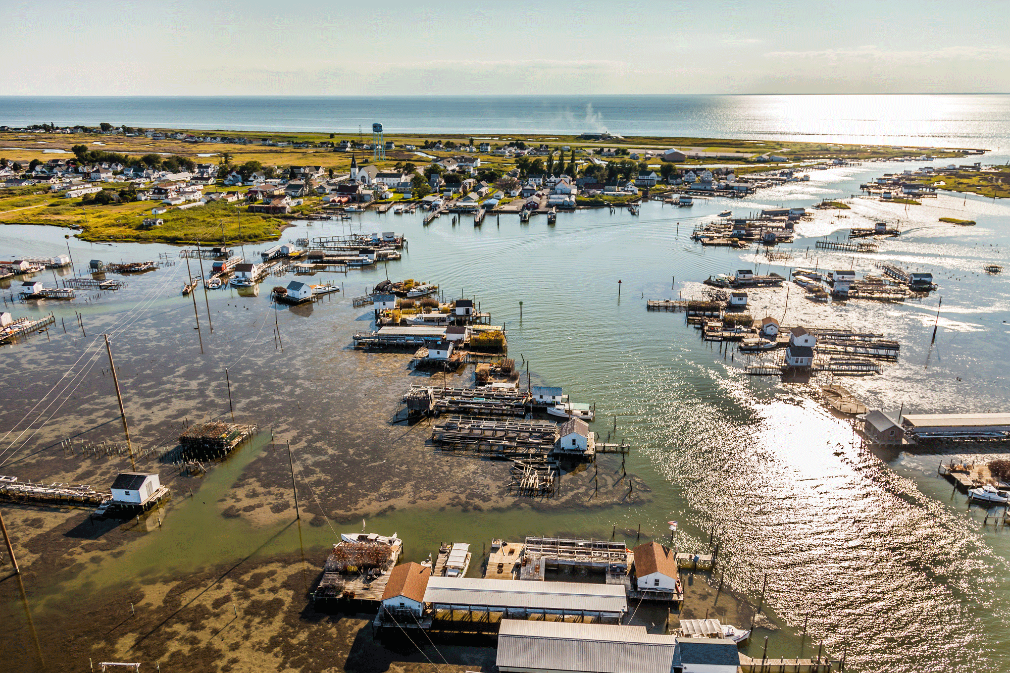 A landscape shot of Tangier Island surrounded by water