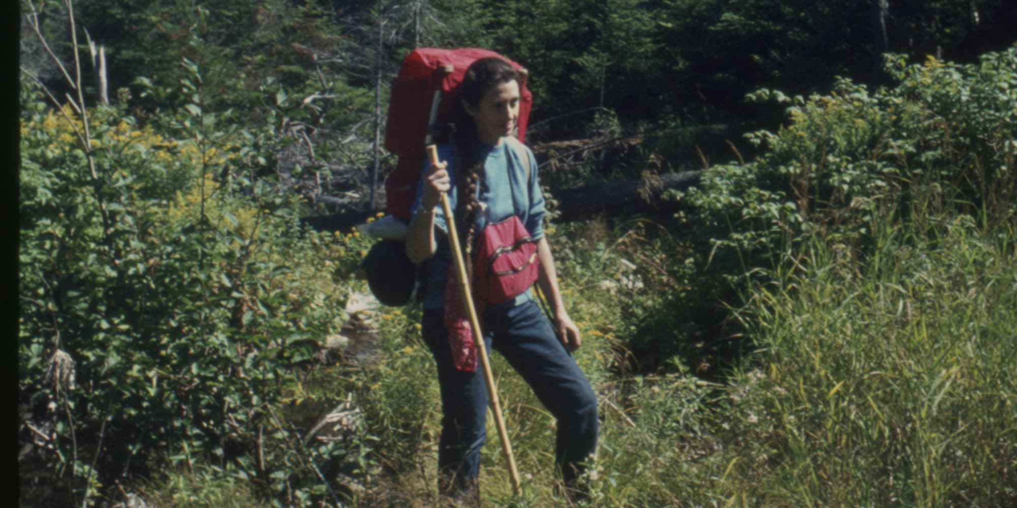 Co-op Member Ellen Stekert
