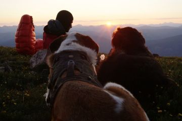 hiking with dog sunset