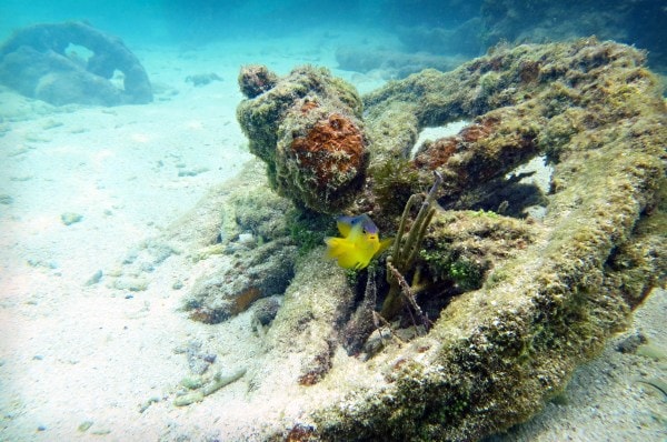 Dry Tortugas National Park