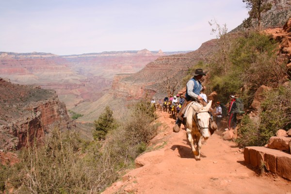Bright Angel Trail