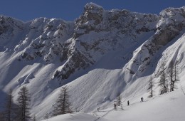 Salomon Freeski