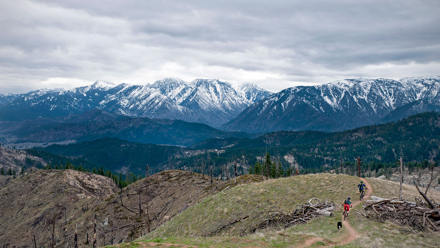 Photography Tips Shooting Mountain Biking Rei Co Op Journal Photography Tips Shooting Mountain Biking Rei Co Op Journal