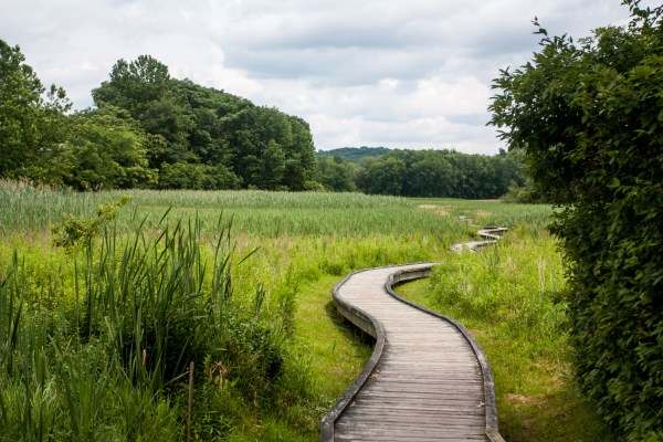 Appalachian Trail