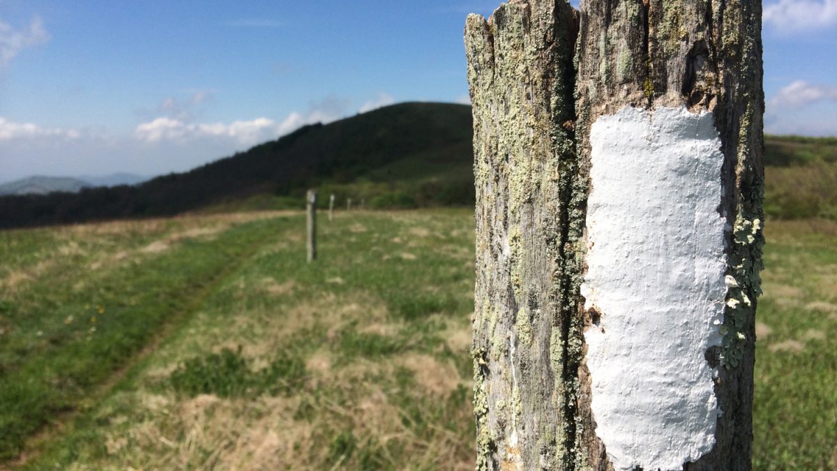 Facts About The Appalachian Trail Co Op Journal Rei Co Op