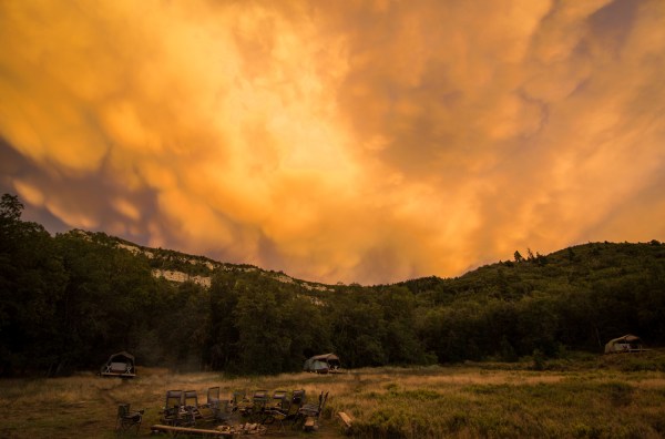 REI Signature Camping