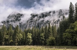 Thank You for Choosing to #OptOutside With Us