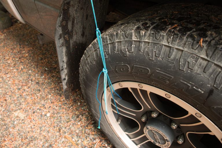 Tarp Tips