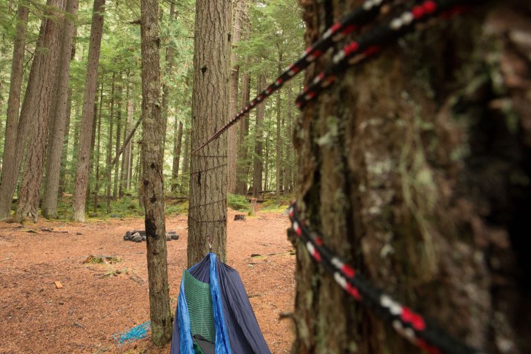 thick rope tied around a wooden stake in the forest Stock Photo