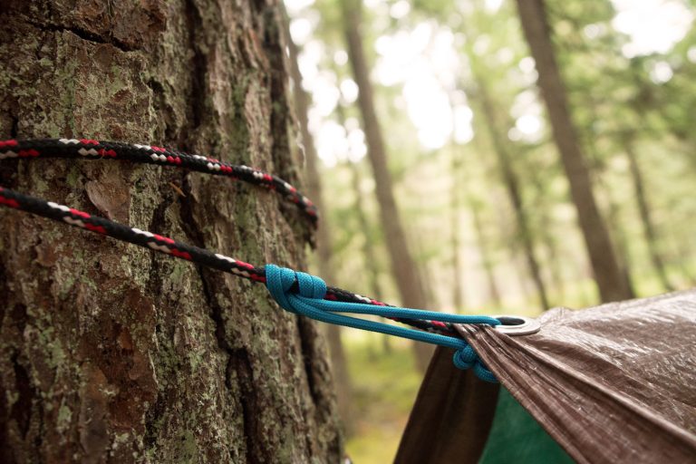 Tarp Tips